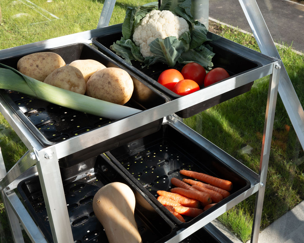 vegetables-from-the-resident-garden