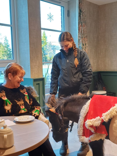 Christmas activities at Oakbank Care Home in Crieff