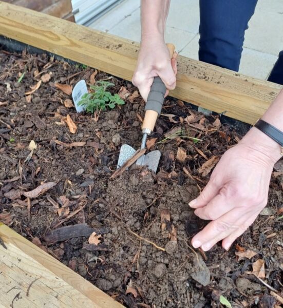 planting-seeds